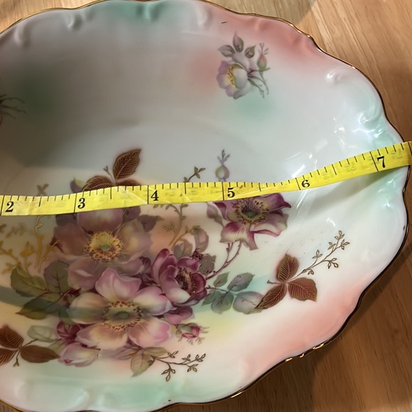 Vintage Schumann Arzberg Bavaria Hand-painted WILD ROSE Oval Relish/Celery Dish. - Picture 9 of 10
